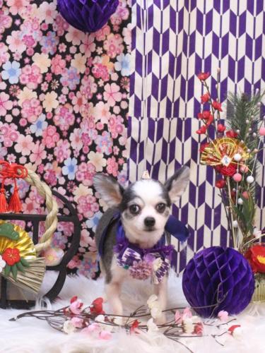 20250128レイくん